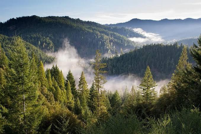 The Nature Dreams I Vacations I Conference I Mice I Family Events I Open Air Terrace I Sky Bonfire I Kufri By Exotic Stays Shimla Exteriör bild