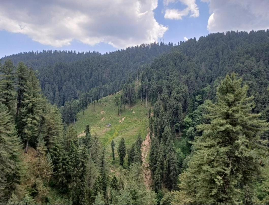 The Nature Dreams I Vacations I Conference I Mice I Family Events I Open Air Terrace I Sky Bonfire I Kufri By Exotic Stays Shimla Exteriör bild
