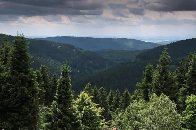 The Nature Dreams I Vacations I Conference I Mice I Family Events I Open Air Terrace I Sky Bonfire I Kufri By Exotic Stays Shimla Exteriör bild