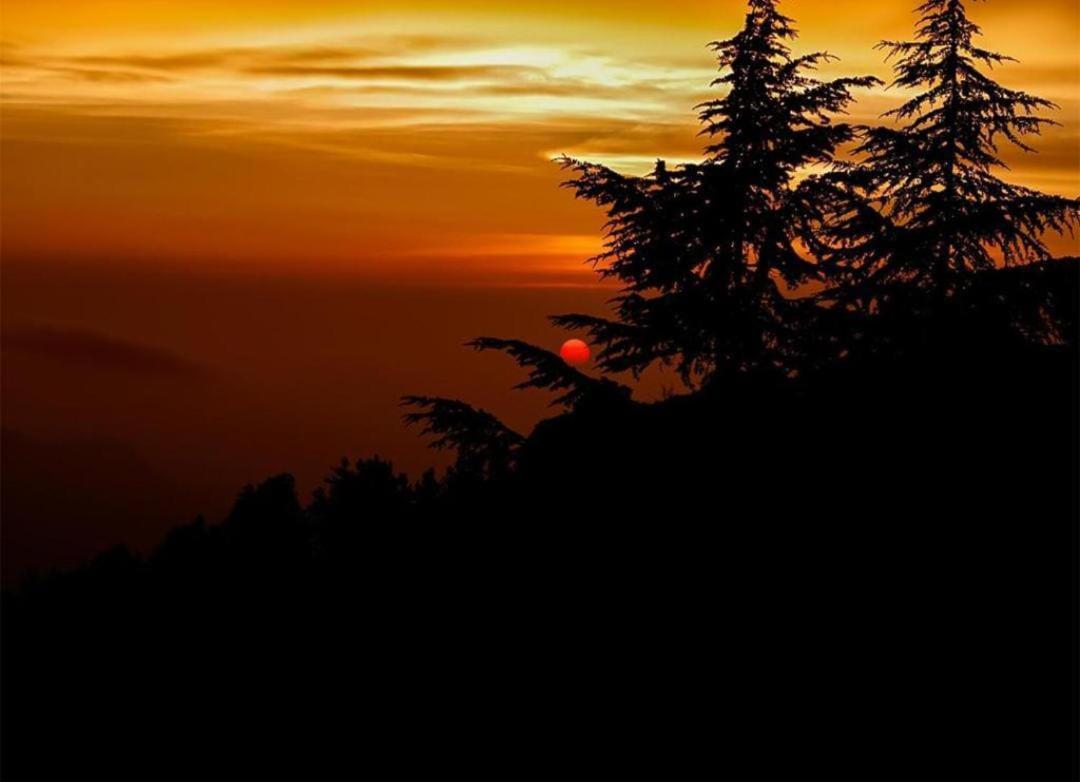 The Nature Dreams I Vacations I Conference I Mice I Family Events I Open Air Terrace I Sky Bonfire I Kufri By Exotic Stays Shimla Exteriör bild