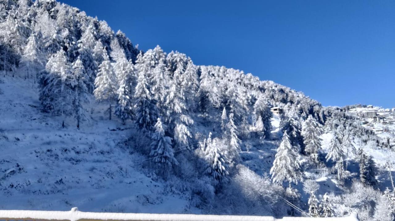 The Nature Dreams I Vacations I Conference I Mice I Family Events I Open Air Terrace I Sky Bonfire I Kufri By Exotic Stays Shimla Exteriör bild