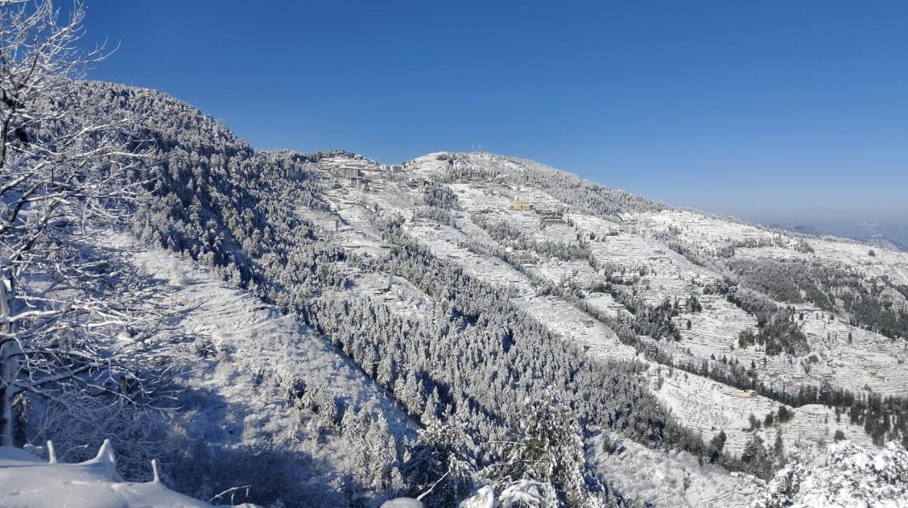 The Nature Dreams I Vacations I Conference I Mice I Family Events I Open Air Terrace I Sky Bonfire I Kufri By Exotic Stays Shimla Exteriör bild